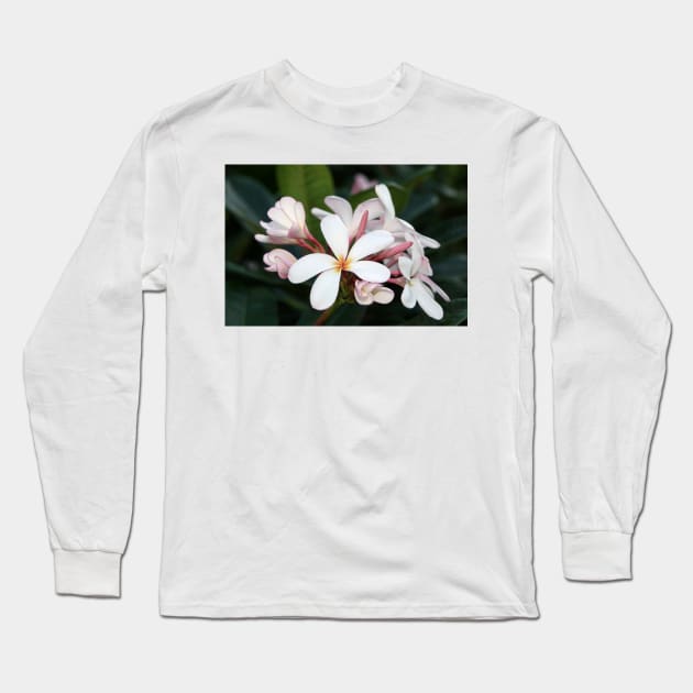 Plumeria flowers on Hawaii Long Sleeve T-Shirt by SDym Photography